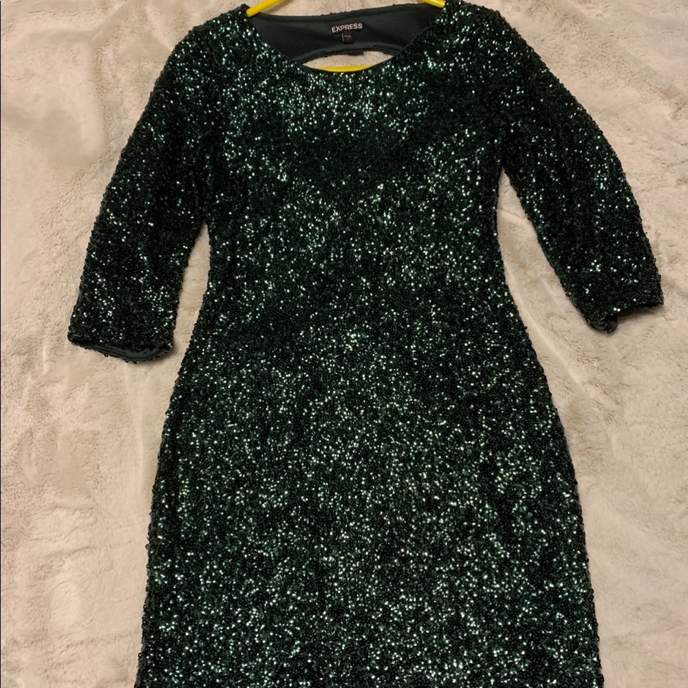 Green Express sequin bodycon dress. Worn only once